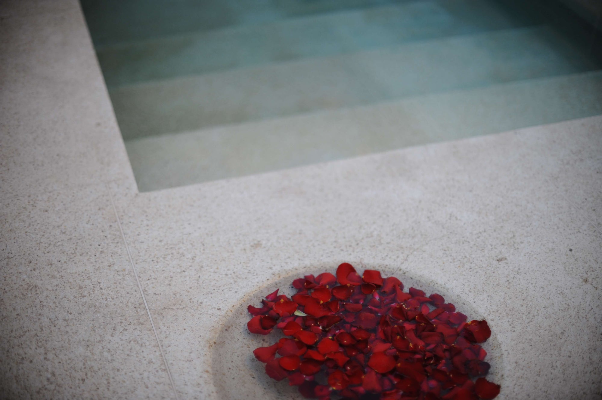 Warum normale Parfums schädlich sind