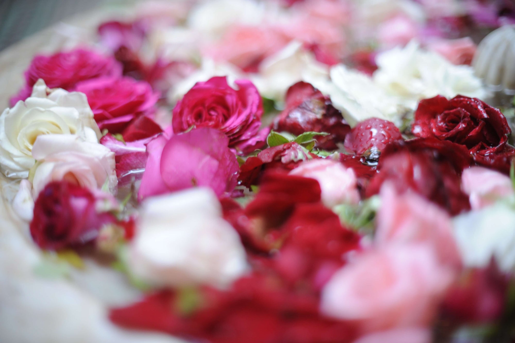 Was sind eigentlich natürliche Parfums?